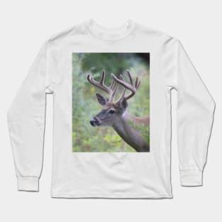 White-tailed Buck in Summer Long Sleeve T-Shirt